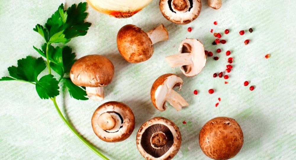 How long do mushrooms last?